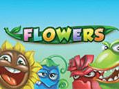ntnflowers_Horizontal.jpg